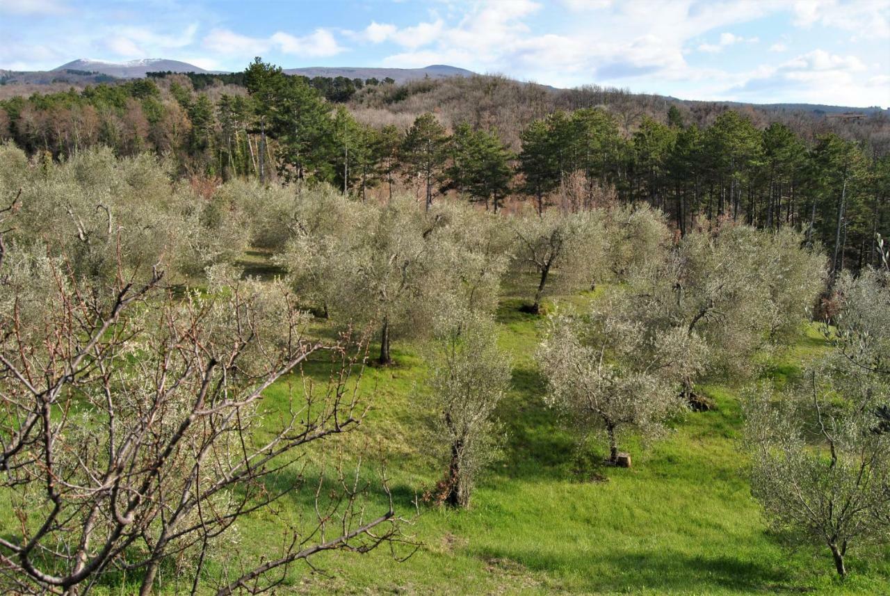 Casa Fioranna Villa Seggiano Екстериор снимка