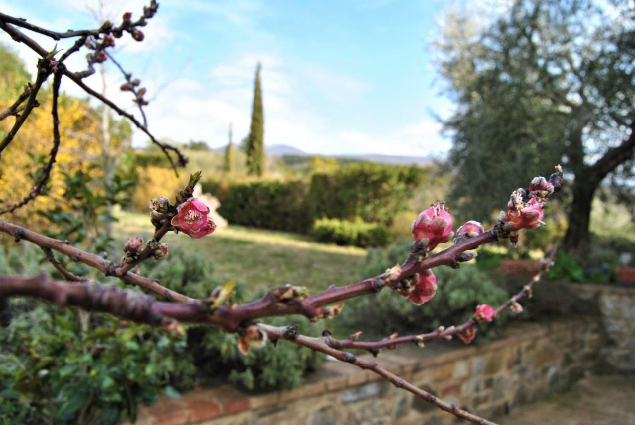Casa Fioranna Villa Seggiano Екстериор снимка